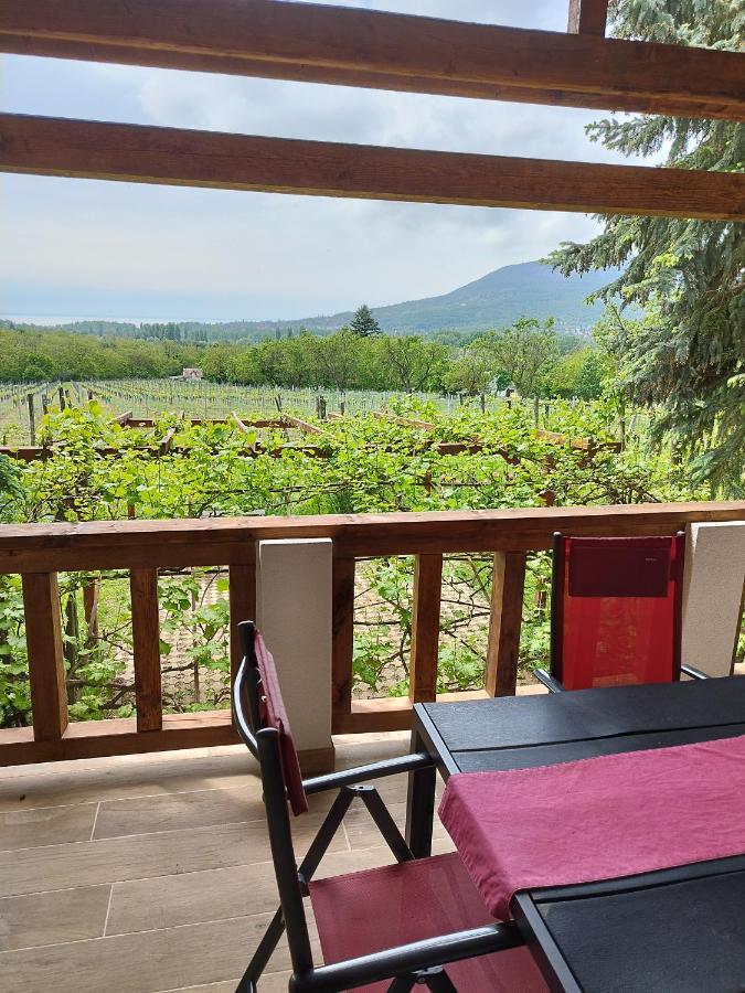 Klara Vendeghaz Villa Badacsonyörs Dış mekan fotoğraf