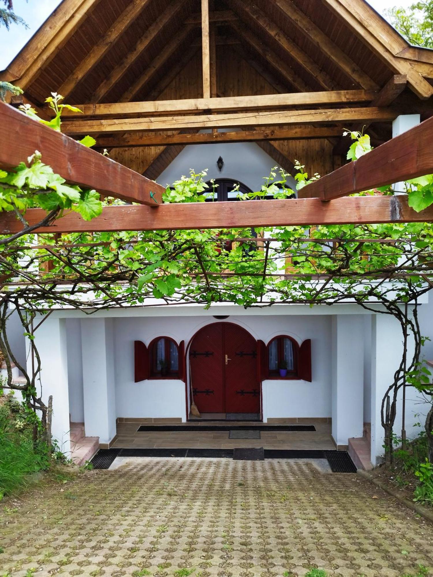 Klara Vendeghaz Villa Badacsonyörs Dış mekan fotoğraf
