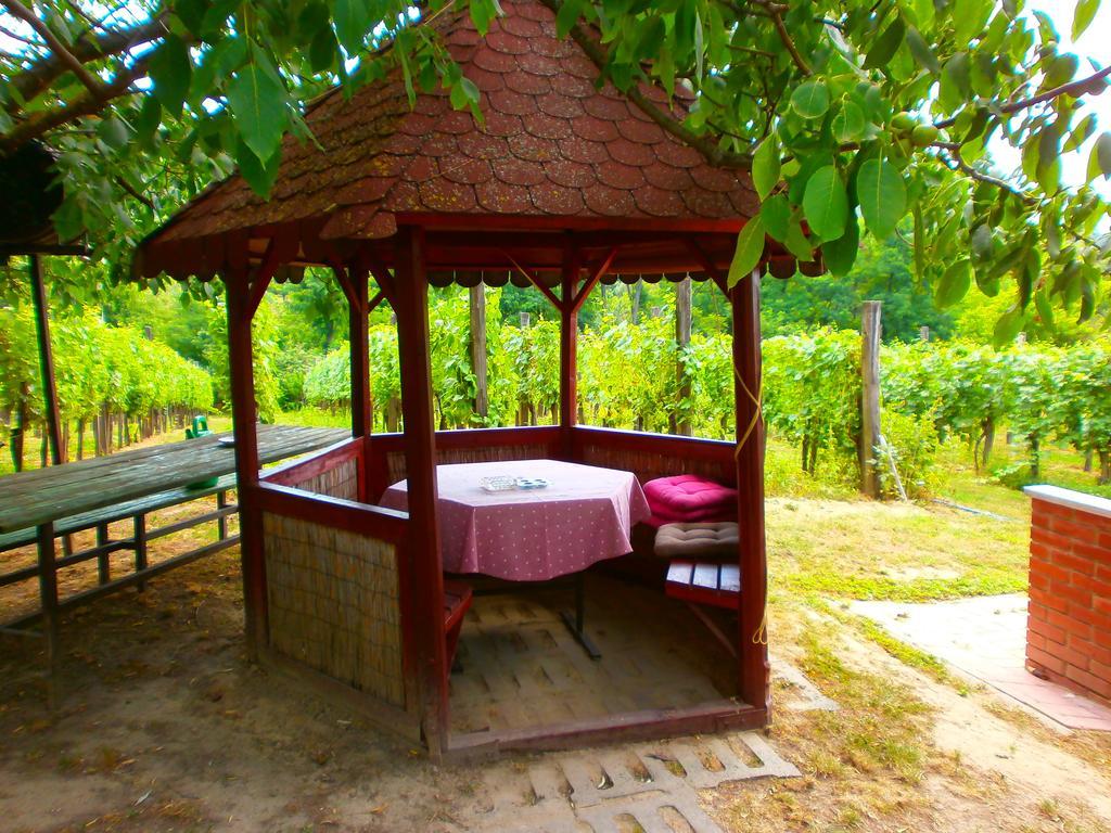 Klara Vendeghaz Villa Badacsonyörs Dış mekan fotoğraf